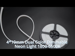 led neon ışıklar 0410 çift renkli
