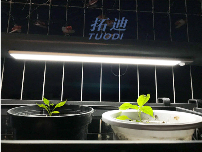 Kablosuz USB Şarj Edilebilir Esnek LED Hareket Sensörü Kabine Işık Tezgah Altında Dolap Aydınlatma Işığı